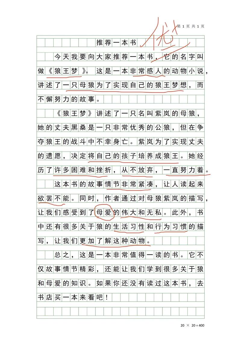 一、为什么文献阅读报告让我又爱又怕？