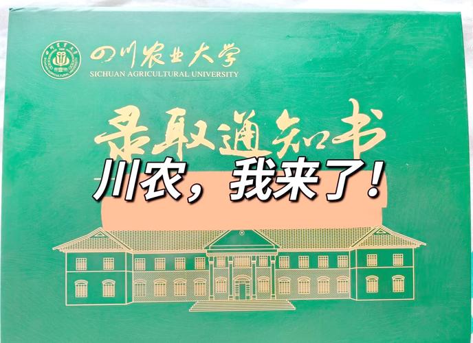 川农论文查AI率吗?让我们用效率革命重塑学术新生态