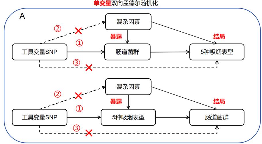 方案（随机化组合）