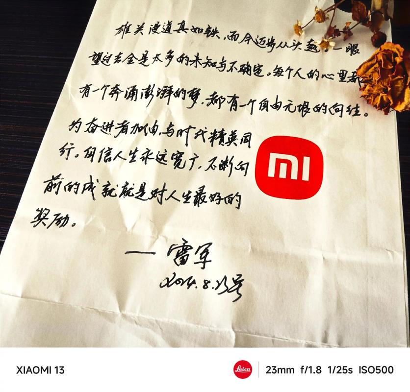 （以雷军标志性开场白开场，双手张开做拥抱状）