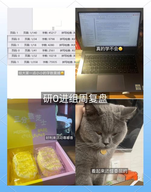 AI工科博士毕业论文时真的忙到飞起吗？那些不为人知的忙碌时光