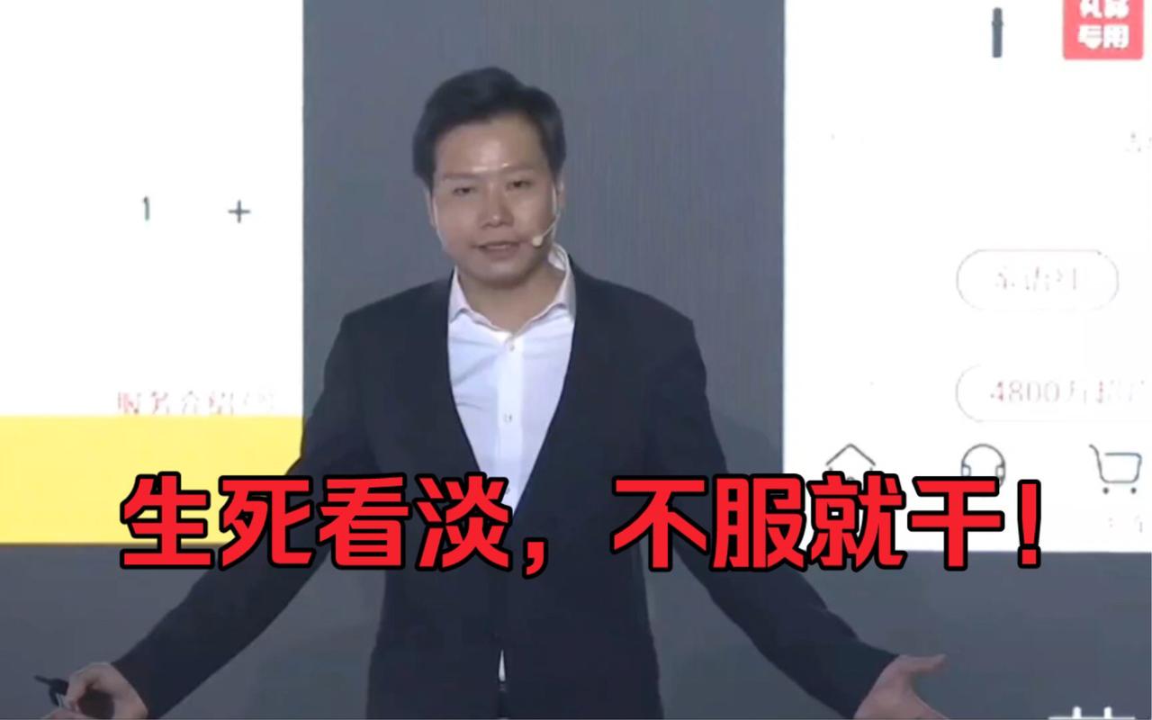(以雷军风格开场,语气亲切自然,带点调侃)