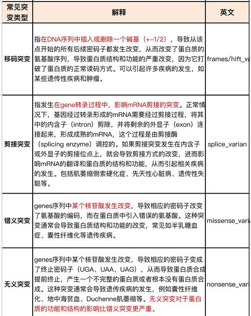 +8个变体副标题覆盖不同搜索关键词