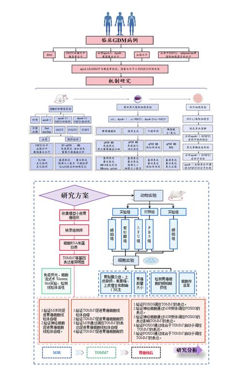 AI论文框架图,一键生成的智能提纲神器,让学术写作像搭乐高一样简单