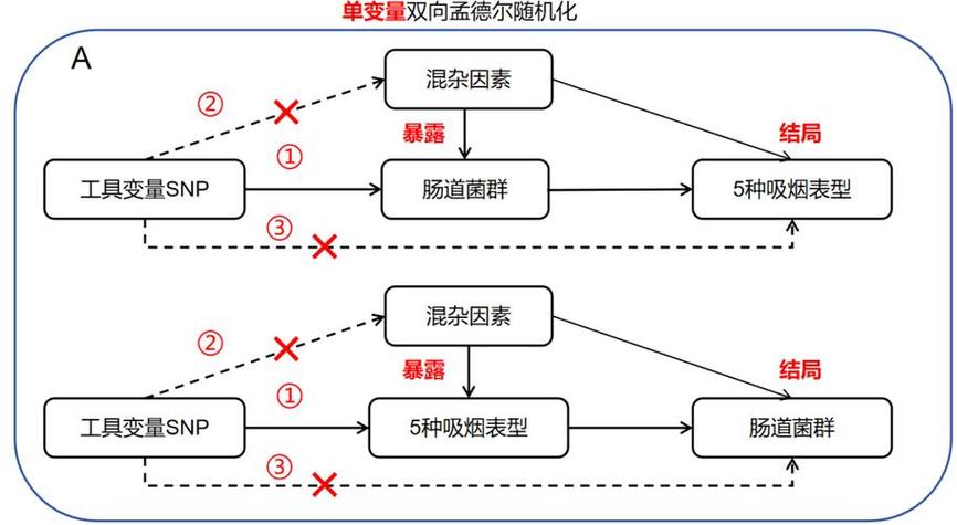 方案（随机化组合）