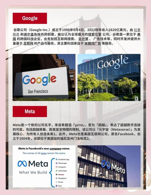 美国AI应用深度分析,解码技术革命背后的创新密码