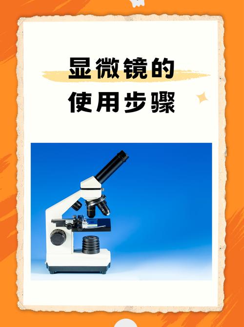 论文重点智能提取，AI技术如何成为学术研究的知识显微镜？